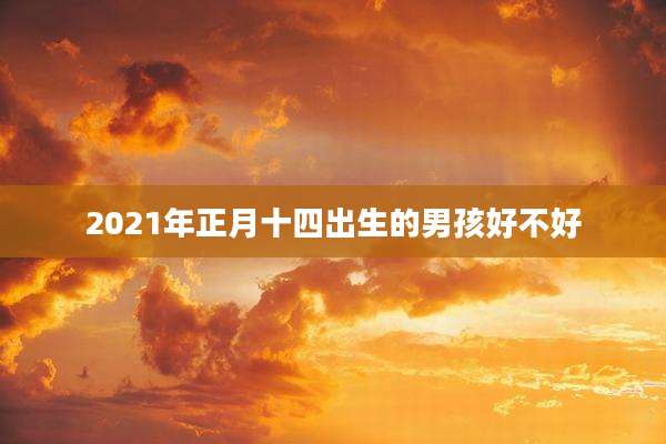 2021年正月十四出生的男孩好不好