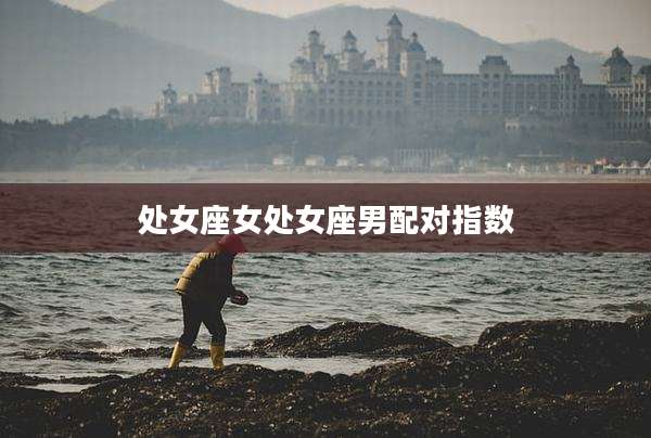 处女座女处女座男配对指数