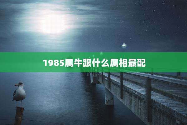 1985属牛跟什么属相最配