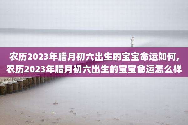 农历2023年腊月初六出生的宝宝命运如何,农历2023年腊月初六出生的宝宝命运怎么样