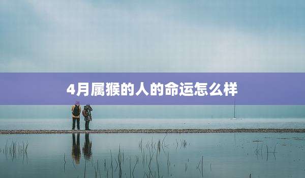 4月属猴的人的命运怎么样
