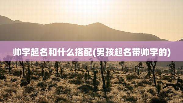 帅字起名和什么搭配(男孩起名带帅字的)