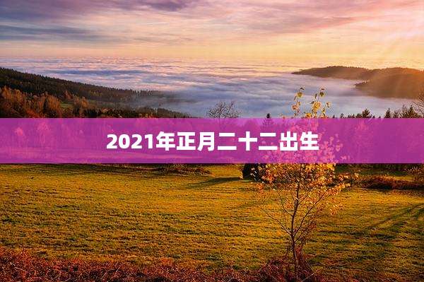 2021年正月二十二出生