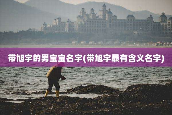 带旭字的男宝宝名字(带旭字最有含义名字)