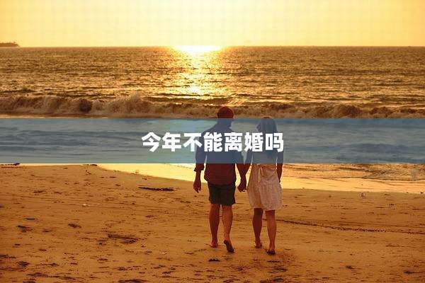 今年不能离婚吗