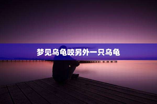 梦见乌龟咬另外一只乌龟