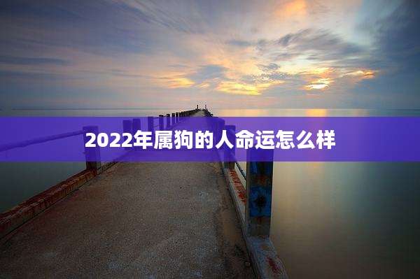 2022年属狗的人命运怎么样