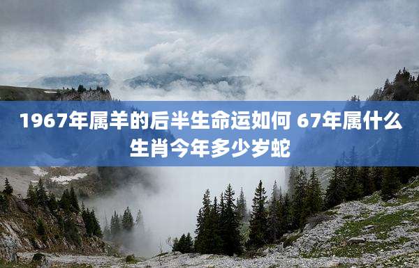 1967年属羊的后半生命运如何 67年属什么生肖今年多少岁蛇