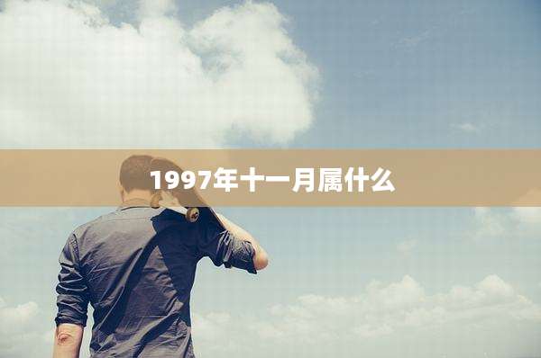 1997年十一月属什么
