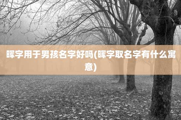 晖字用于男孩名字好吗(晖字取名字有什么寓意)