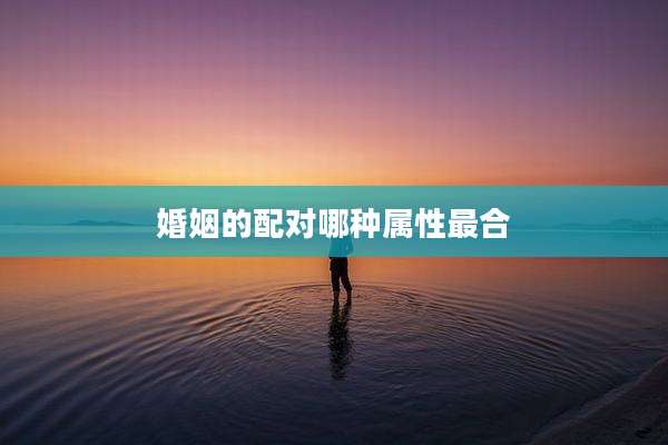 婚姻的配对哪种属性最合