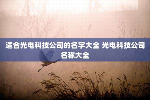 适合光电科技公司的名字大全 光电科技公司名称大全