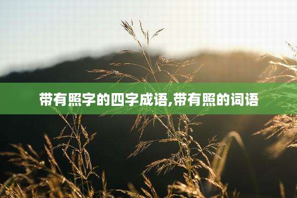 带有照字的四字成语,带有照的词语