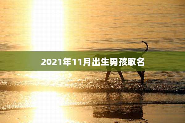 2021年11月出生男孩取名