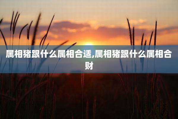 属相猪跟什么属相合适,属相猪跟什么属相合财