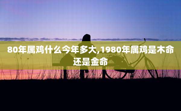 80年属鸡什么今年多大,1980年属鸡是木命还是金命