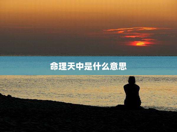 命理天中是什么意思