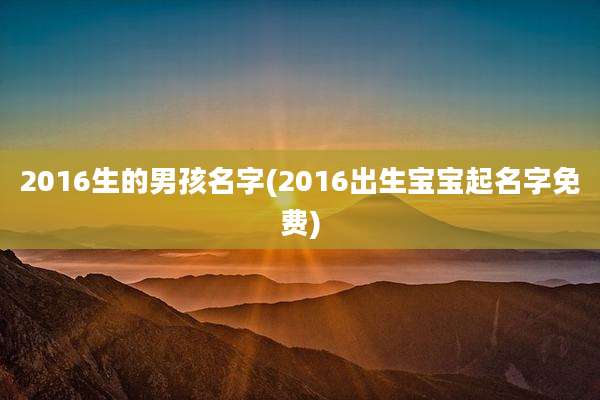 2016生的男孩名字(2016出生宝宝起名字免费)