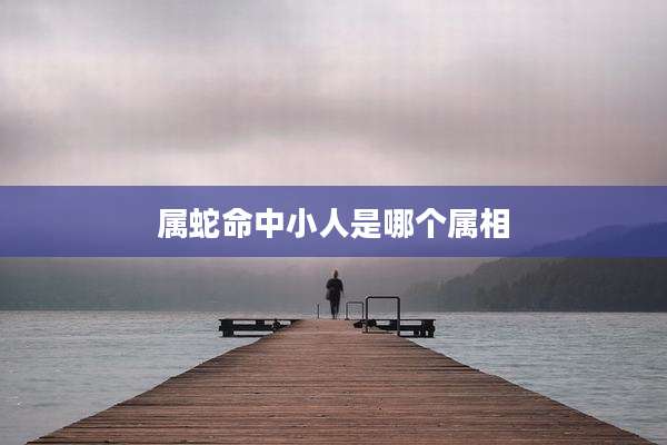 属蛇命中小人是哪个属相