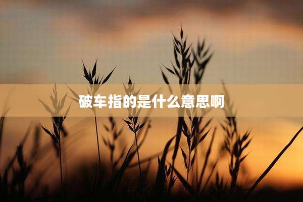破车指的是什么意思啊