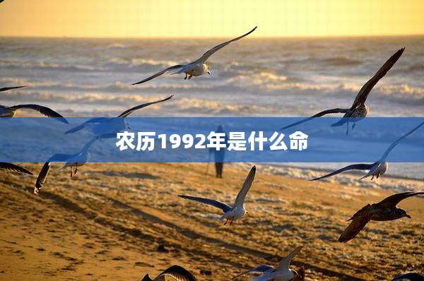 农历1992年是什么命