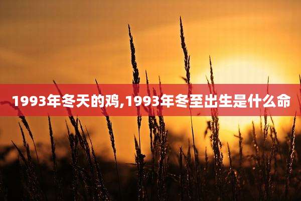 1993年冬天的鸡,1993年冬至出生是什么命