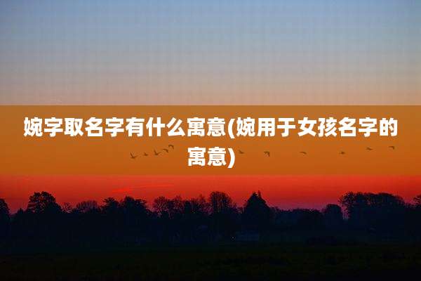 婉字取名字有什么寓意(婉用于女孩名字的寓意)