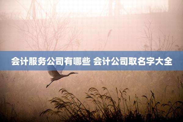 会计服务公司有哪些 会计公司取名字大全