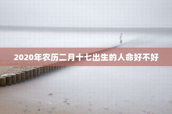 2020年农历二月十七出生的人命好不好