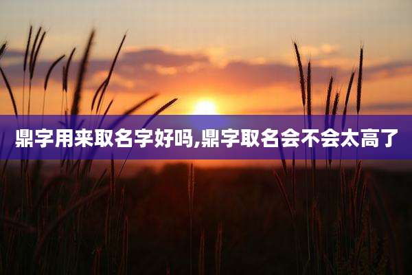 鼎字用来取名字好吗,鼎字取名会不会太高了