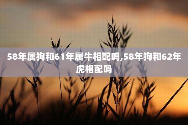 58年属狗和61年属牛相配吗,58年狗和62年虎相配吗