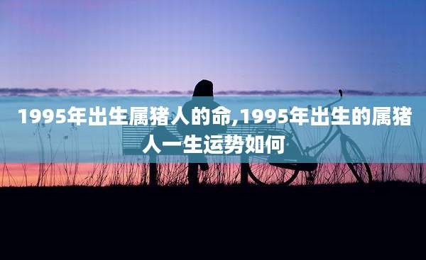 1995年出生属猪人的命,1995年出生的属猪人一生运势如何