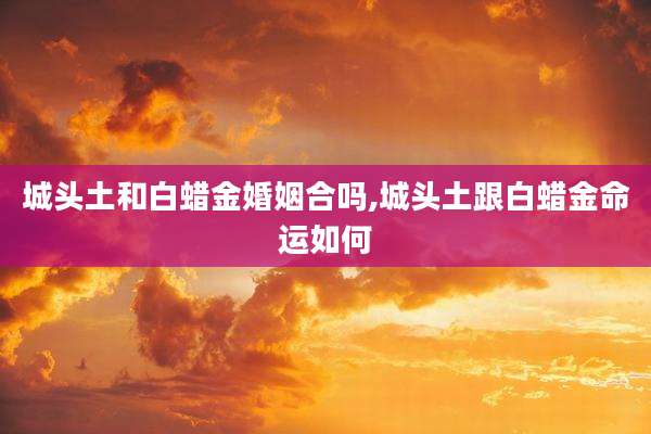 城头土和白蜡金婚姻合吗,城头土跟白蜡金命运如何