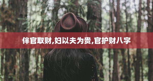 伴官取财,妇以夫为贵,官护财八字