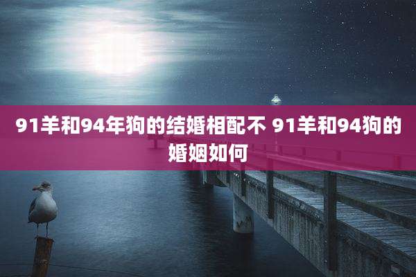 91羊和94年狗的结婚相配不 91羊和94狗的婚姻如何