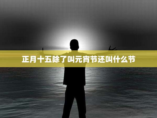 正月十五除了叫元宵节还叫什么节