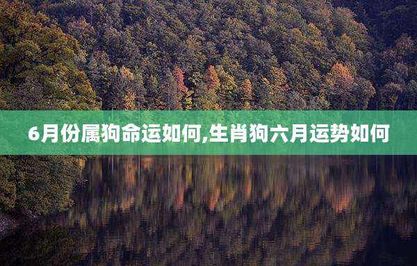 6月份属狗命运如何,生肖狗六月运势如何
