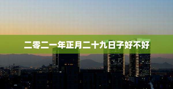 二零二一年正月二十九日子好不好