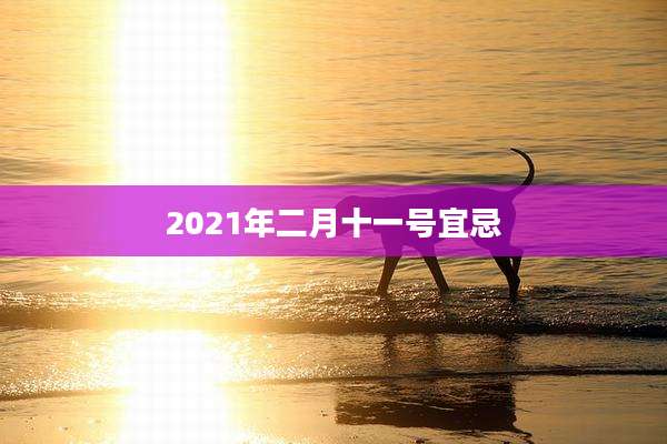 2021年二月十一号宜忌