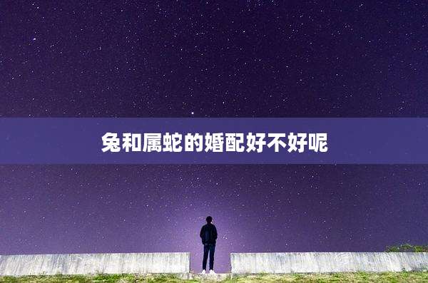 兔和属蛇的婚配好不好呢
