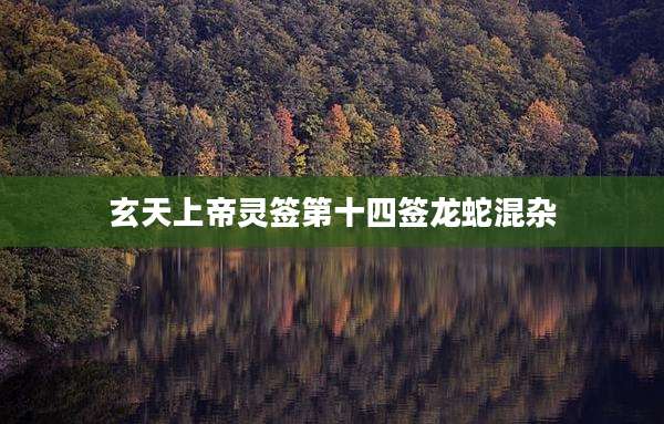玄天上帝灵签第十四签龙蛇混杂