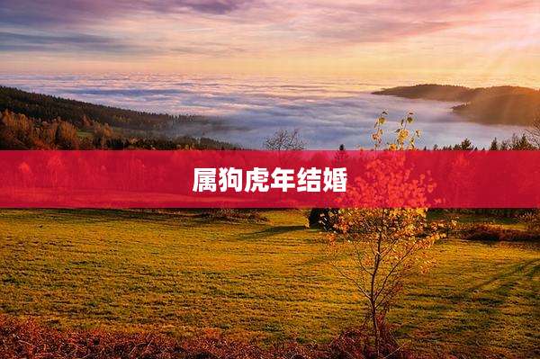 属狗虎年结婚