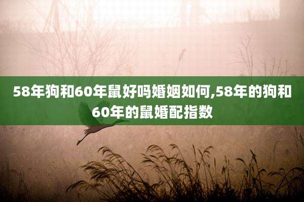 58年狗和60年鼠好吗婚姻如何,58年的狗和60年的鼠婚配指数