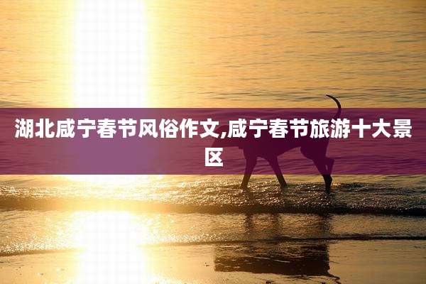 湖北咸宁春节风俗作文,咸宁春节旅游十大景区