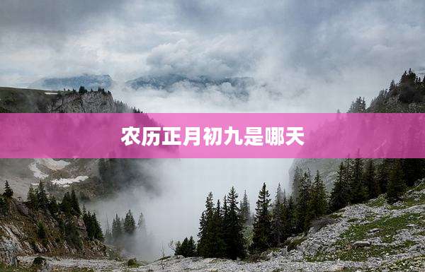 农历正月初九是哪天