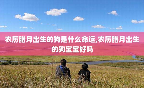 农历腊月出生的狗是什么命运,农历腊月出生的狗宝宝好吗