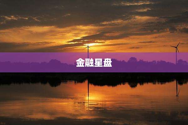 金融星盘