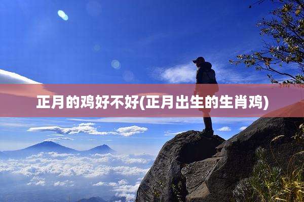 正月的鸡好不好(正月出生的生肖鸡)