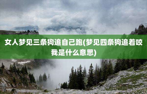 女人梦见三条狗追自己跑(梦见四条狗追着咬我是什么意思)