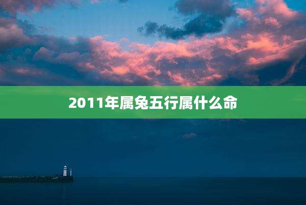 2011年属兔五行属什么命